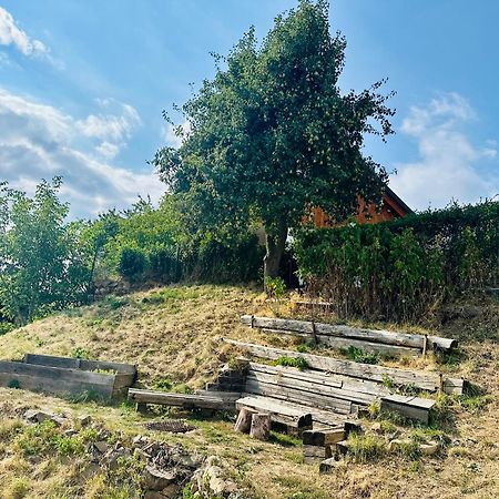 Hostal Libling Ruzovy Banská Štiavnica Exterior foto