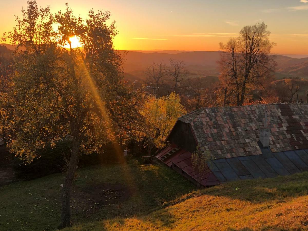 Hostal Libling Ruzovy Banská Štiavnica Exterior foto